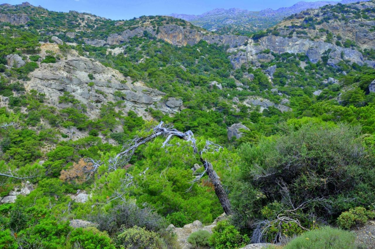 Dream Residence Agios Ioannis  Экстерьер фото